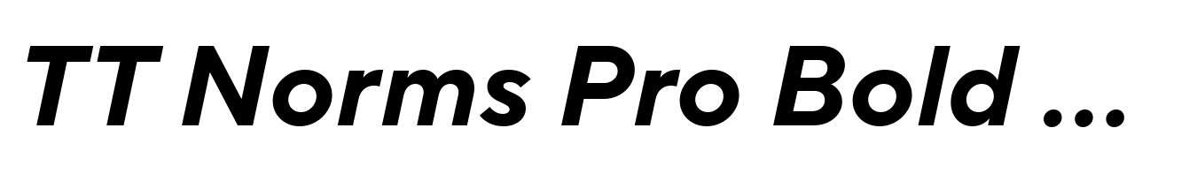 TT Norms Pro Bold Italic